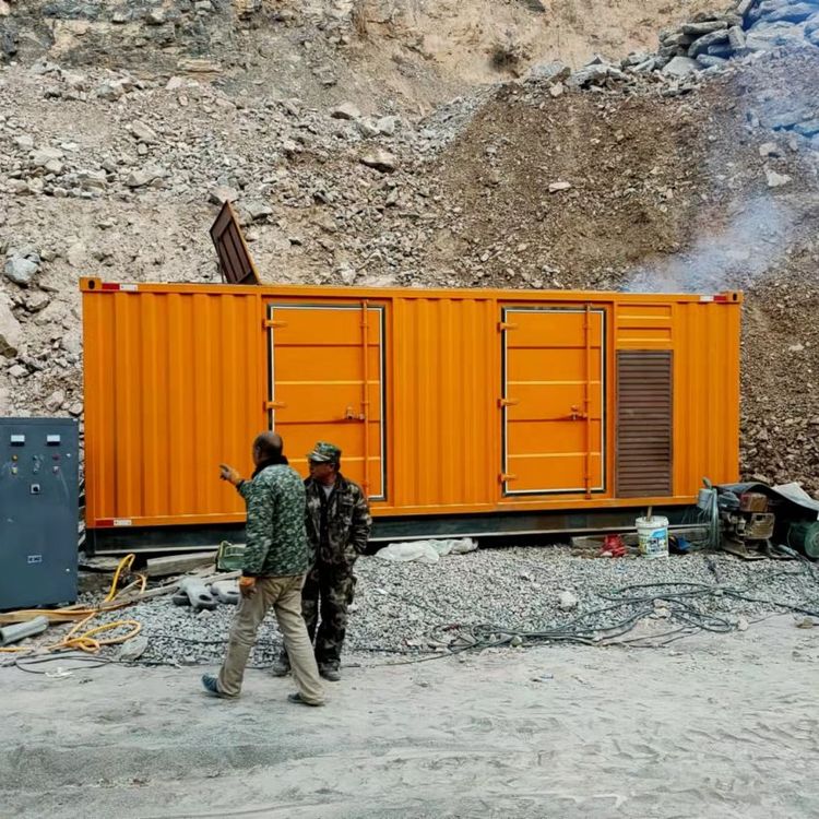 佛罗镇如何选择适合自己的 800KW 柴油发电机组？